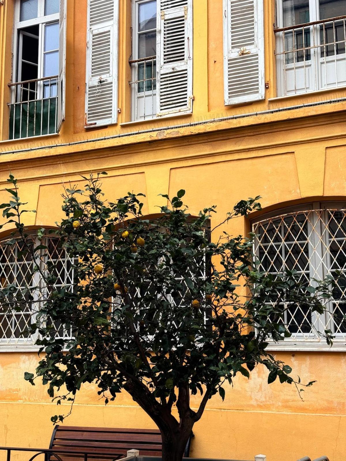 Perche Sur - Vieux Apartment Menton