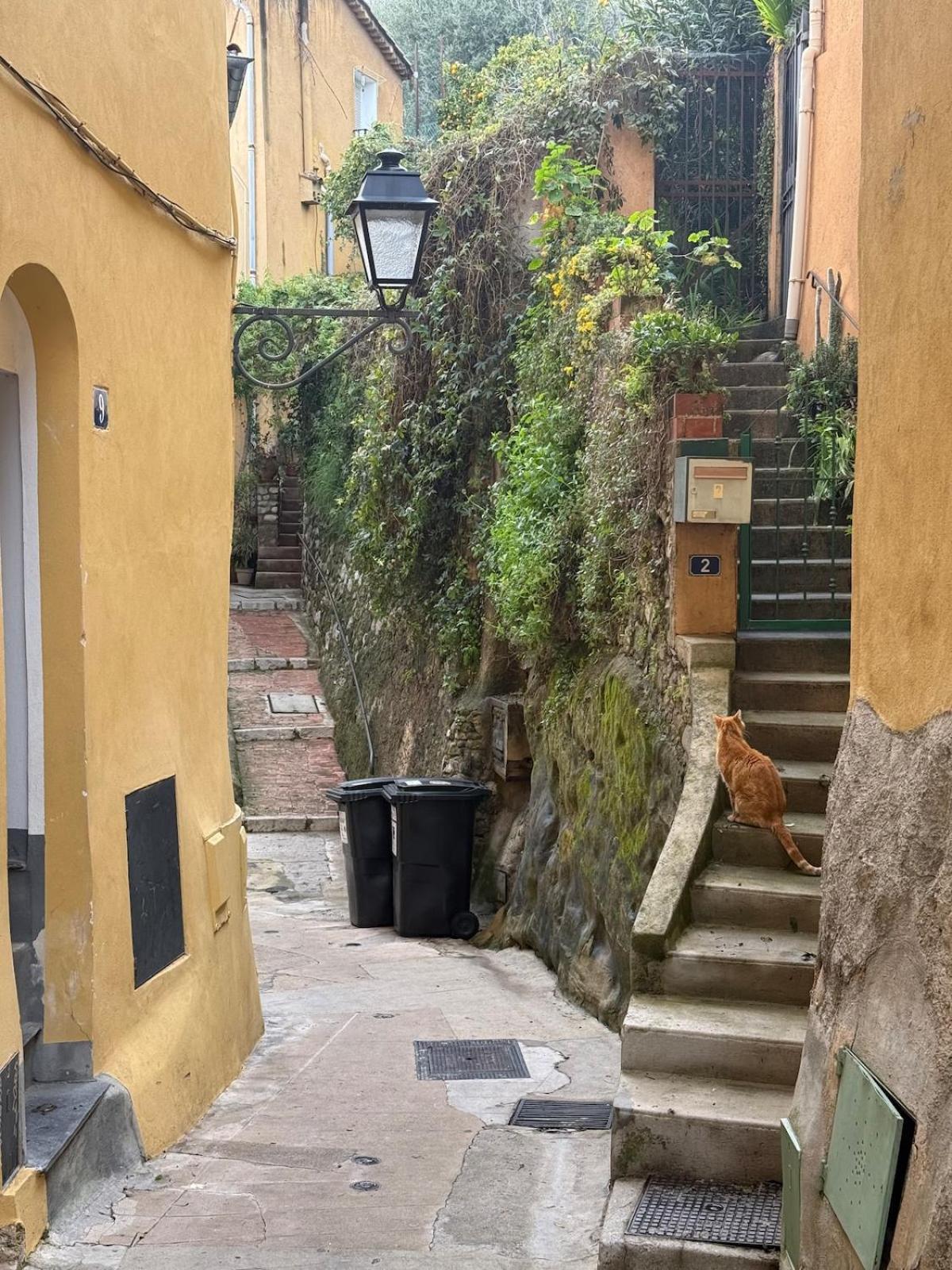 Perche Sur - Vieux * Menton